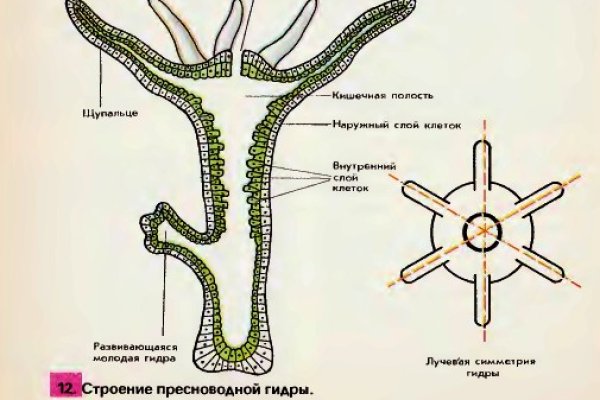 Мега маркетплейс мориарти ссылка